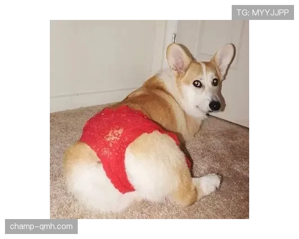 费钰婷比赛时候像个冰山,私下居然穿得这么辣眼睛? 费钰婷比赛时候像个冰山,私下居然穿得这么辣眼睛?